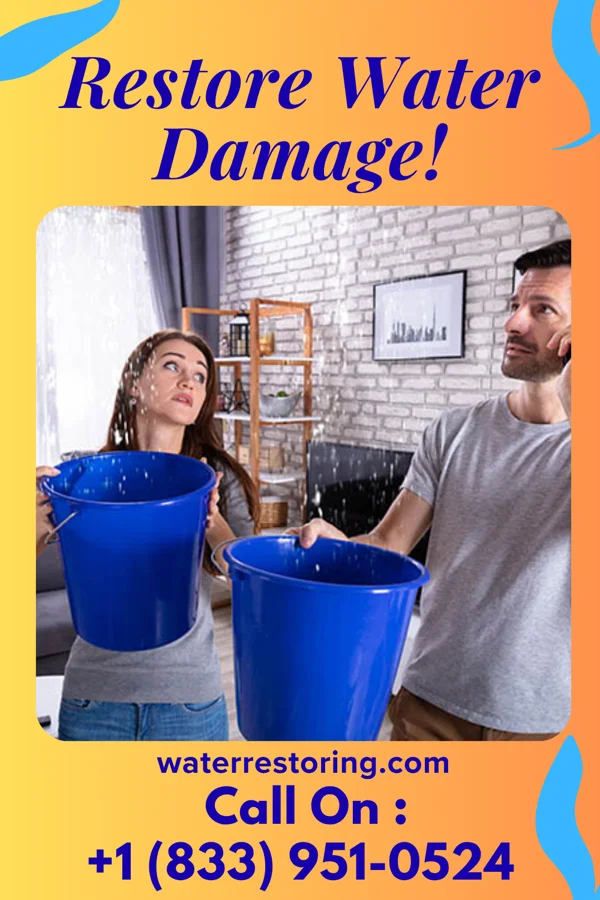 water restoration New Water Repair Masters Mannsville