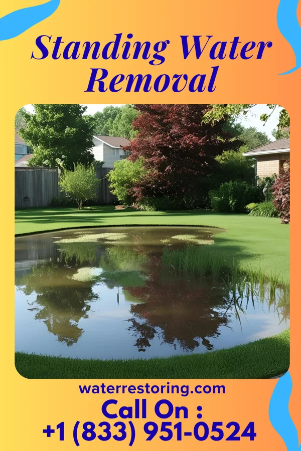 Standing Water Removal in Mannsville, OK